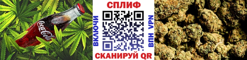Купить закладки  Аткарск  Canna-Cookies марихуана 