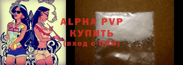 стаф Магас