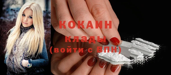 стаф Магас