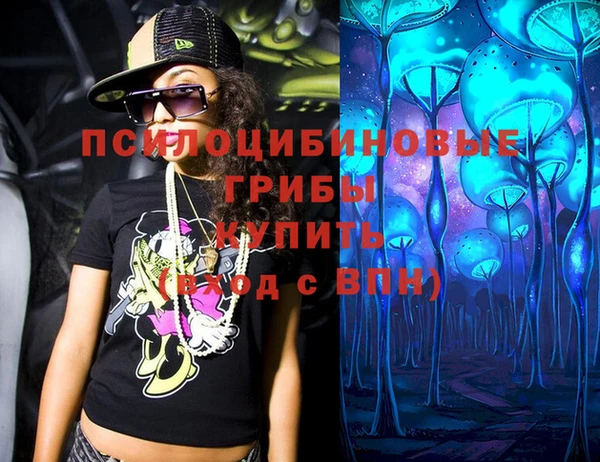 стаф Магас