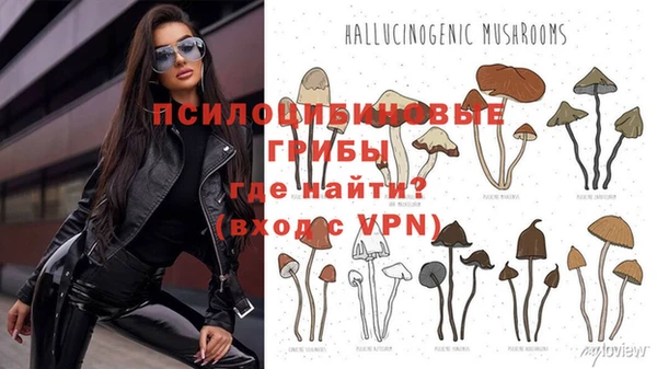 соль ск Магадан