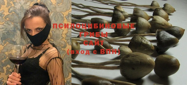 стаф Магас