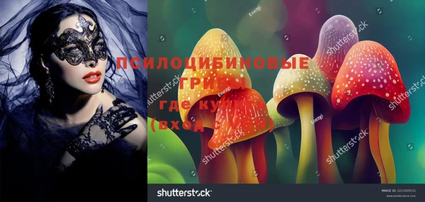 хмурый Сосновый Бор